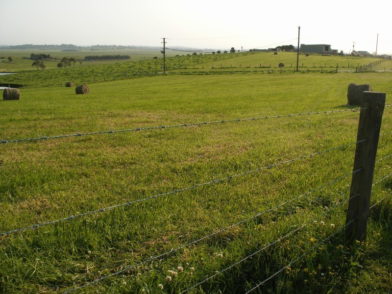 202 Warrigal Close, Brandy Hill NSW 2324