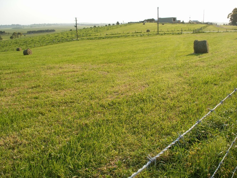 202 Warrigal Close, Brandy Hill NSW 2324