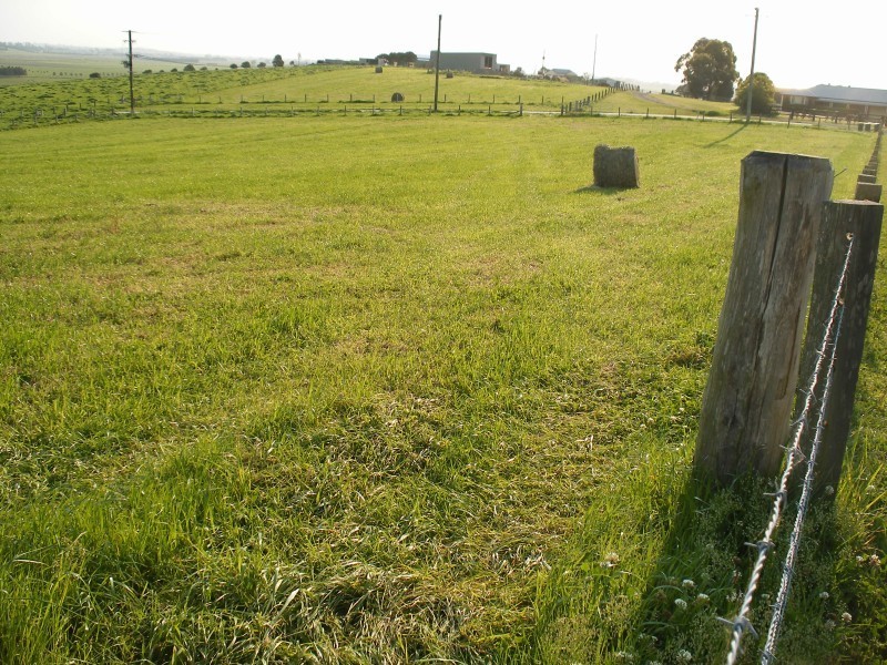 202 Warrigal Close, Brandy Hill NSW 2324