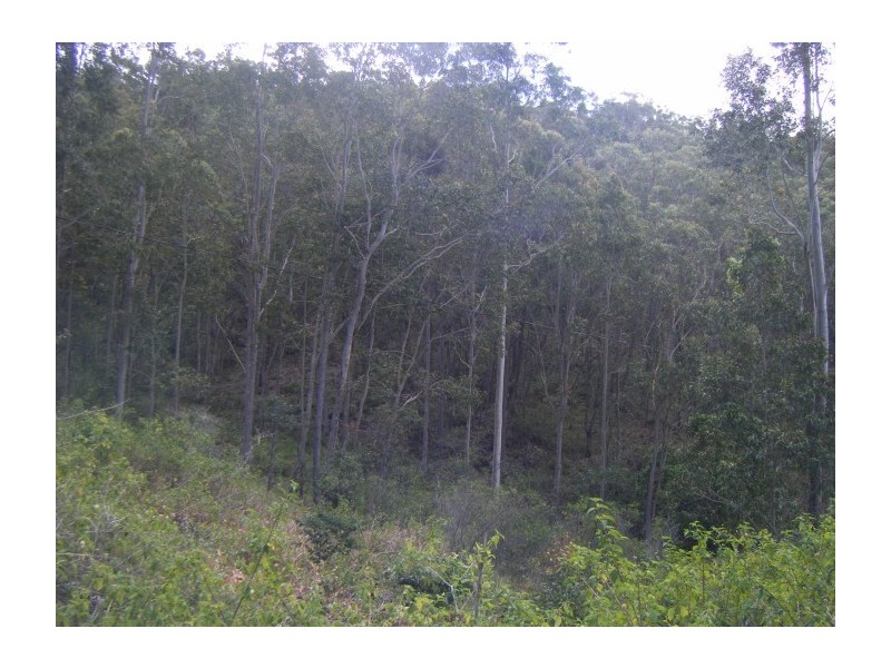 Lot 18, 219 Winston Drive, Eagleton NSW 2324