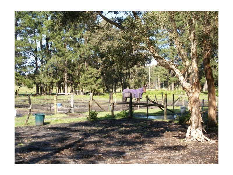 644 Cabbage Tree Road, Williamtown NSW 2318