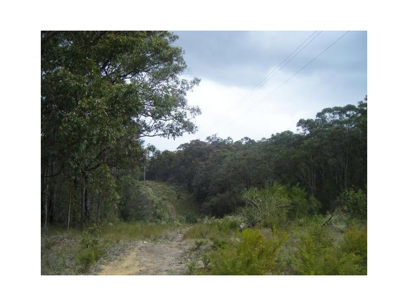 Lot 5,  Buckets Way, Allworth NSW 2425