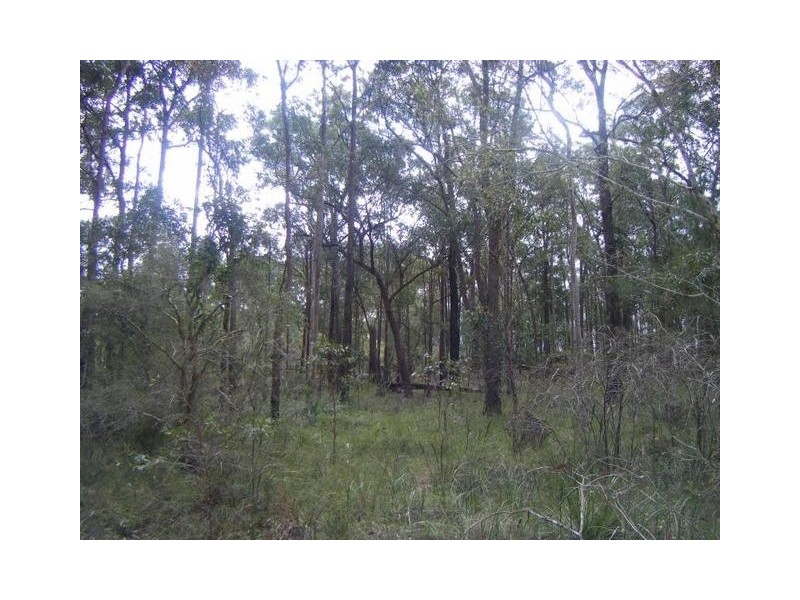 Lot 5,  Buckets Way, Allworth NSW 2425