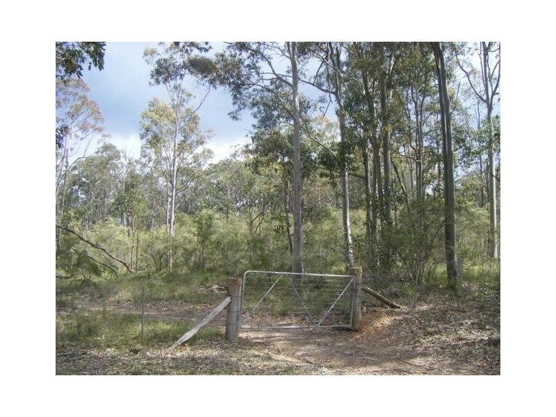 Lot 5,  Buckets Way, Allworth NSW 2425
