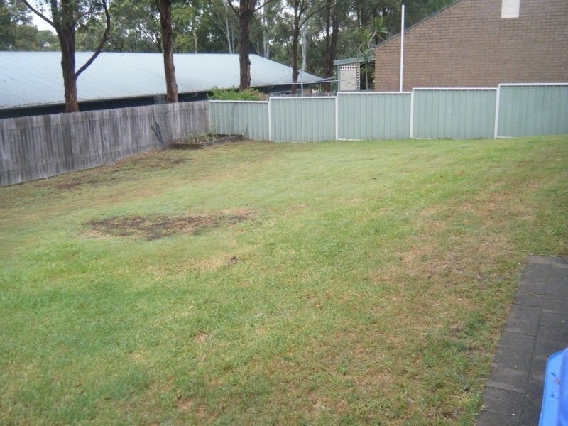 9 Burrowell Close, Raymond Terrace NSW 2324