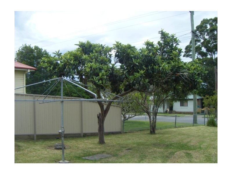 29 Mount Hall Road, Raymond Terrace NSW 2324