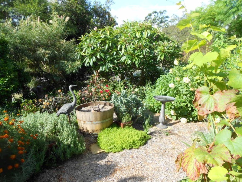 368 Tarean Road, Karuah NSW 2324