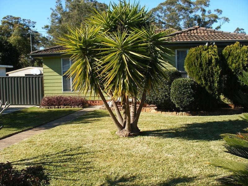 18 Salamander Place, Raymond Terrace NSW 2324