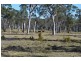 543 Nugra Lane, The Branch NSW 2425