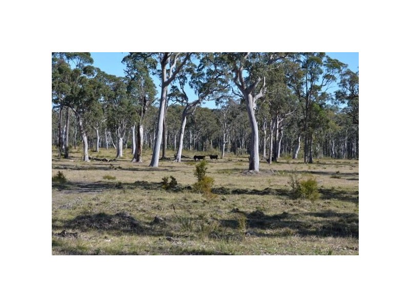 543 Nugra Lane, The Branch NSW 2425