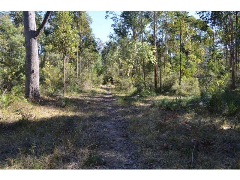 543 Nugra Lane, The Branch NSW 2425