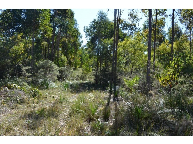 543 Nugra Lane, The Branch NSW 2425