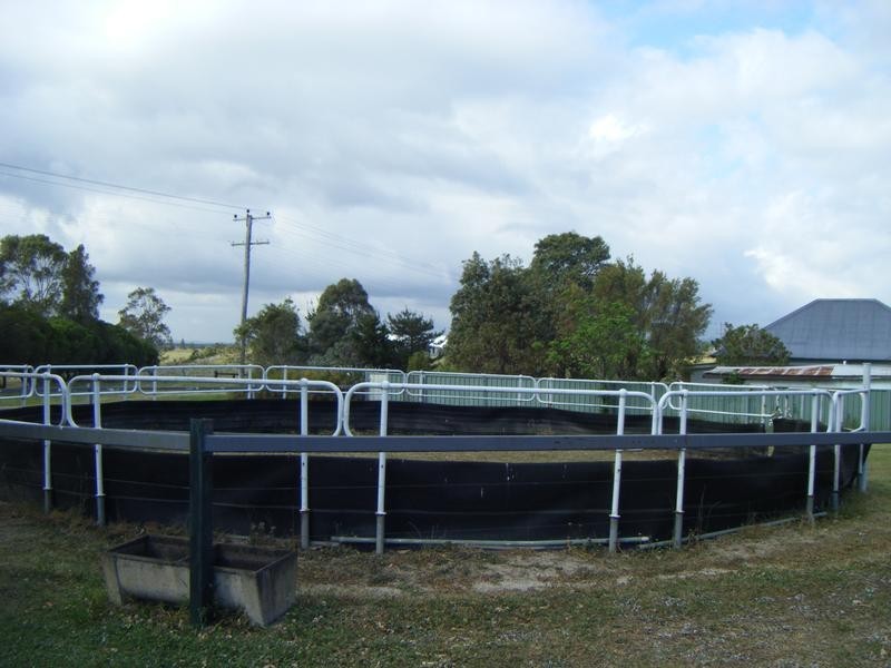 533 Duckenfield Road, Duckenfield NSW 2321