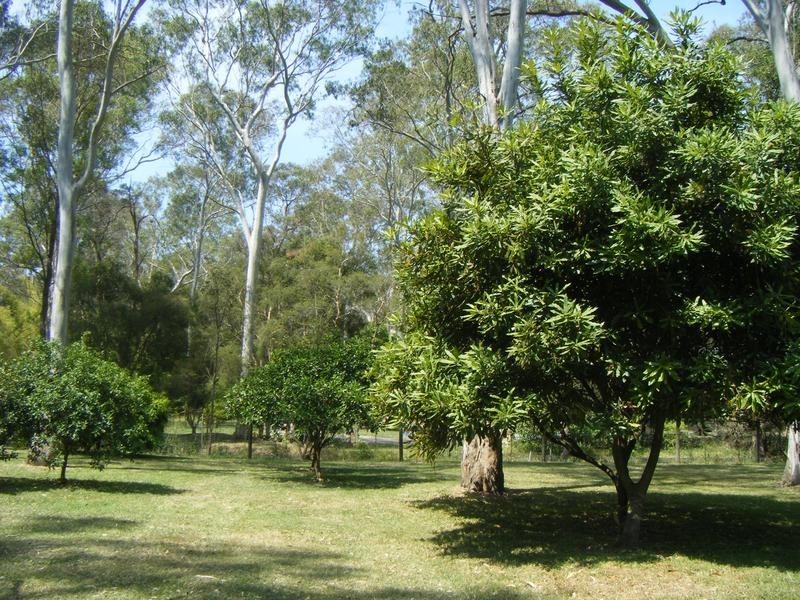 54 Kula Road, Medowie NSW 2318