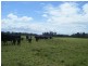 235 Newline Road, Raymond Terrace NSW 2324