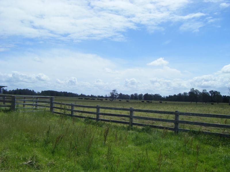 235 Newline Road, Raymond Terrace NSW 2324