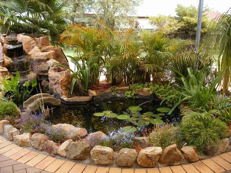 15 Maple Close, Medowie NSW 2318