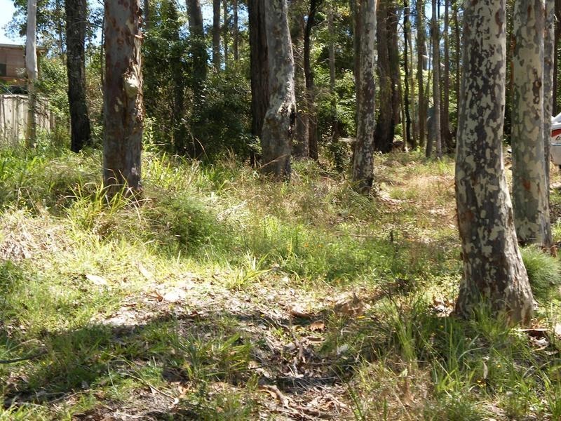 98 Riverside Drive, Karuah NSW 2324