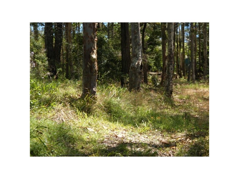 98 Riverside Drive, Karuah NSW 2324