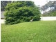 5 Merriwa BLVD, North Arm Cove NSW 2324