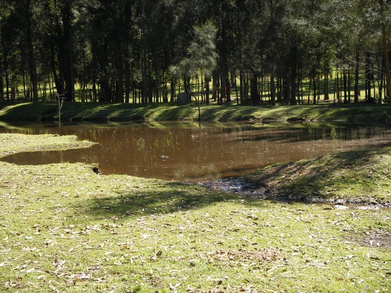 8 Brandy Hill Drive, Brandy Hill NSW 2324