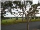 4 Binns Street, Raymond Terrace NSW 2324