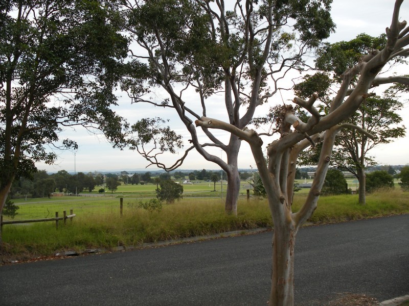 4 Binns Street, Raymond Terrace NSW 2324