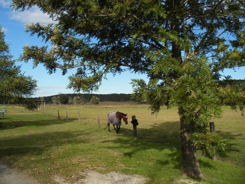 834 Newline Road, Eagleton NSW 2324