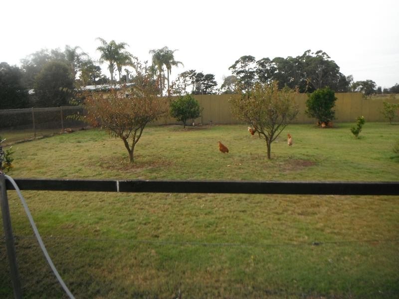 383 Cabbage Tree Road, Williamtown NSW 2318