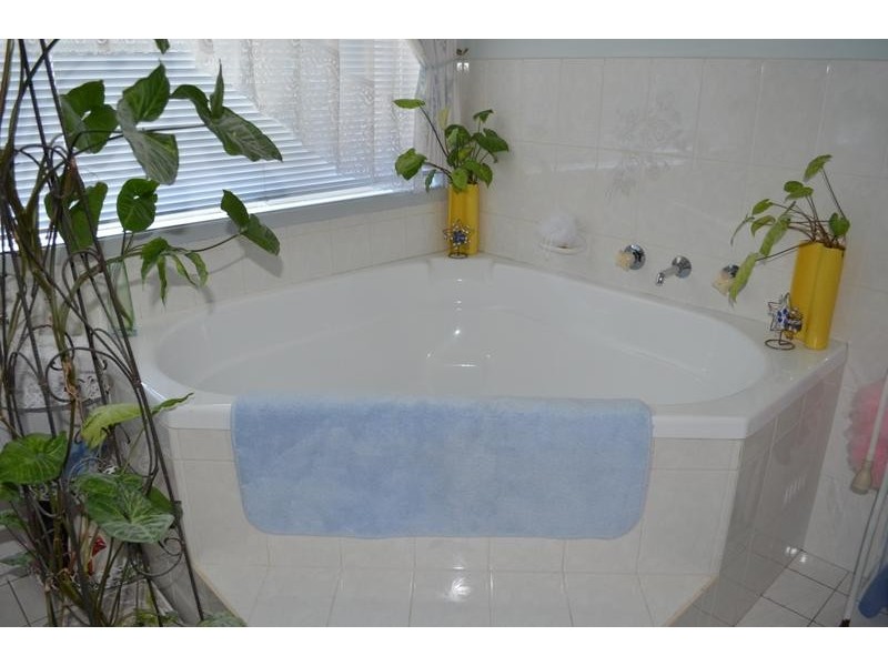 115 Mount Hall Road, Raymond Terrace NSW 2324