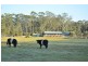 436 Italia Road, Seaham NSW 2324
