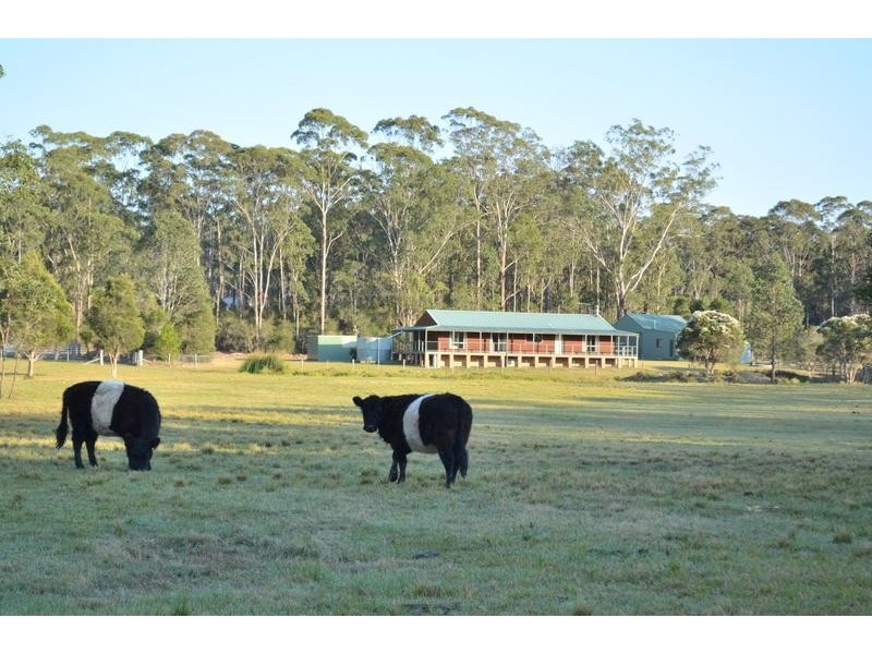 436 Italia Road, Seaham NSW 2324