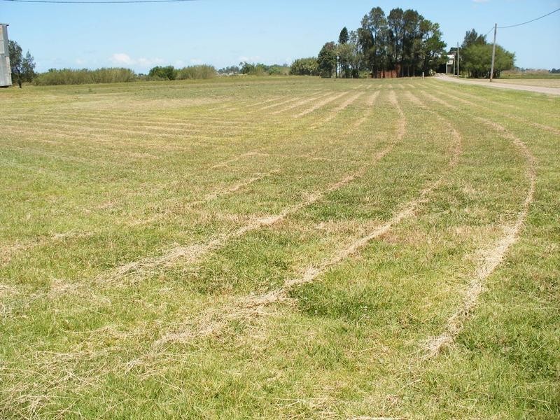 1 Swan Reach Road, Hinton NSW 2321