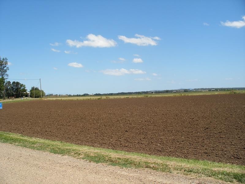 1 Swan Reach Road, Hinton NSW 2321