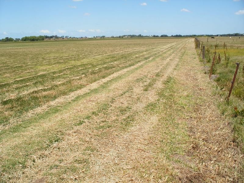 1 Swan Reach Road, Hinton NSW 2321