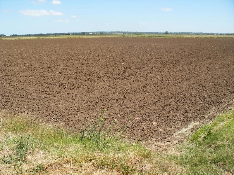 1 Swan Reach Road, Hinton NSW 2321