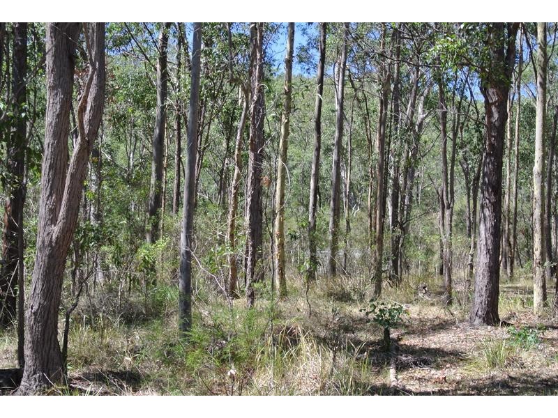 109 Winston Drive, Eagleton NSW 2324