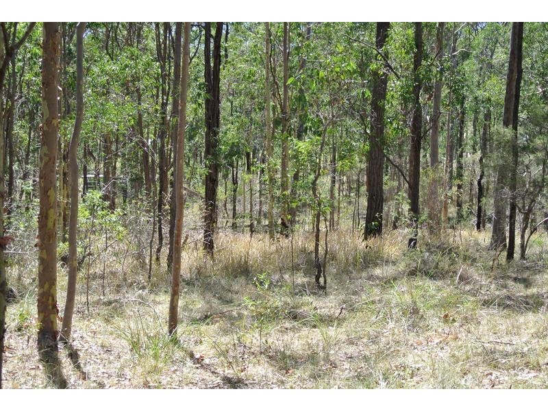 109 Winston Drive, Eagleton NSW 2324