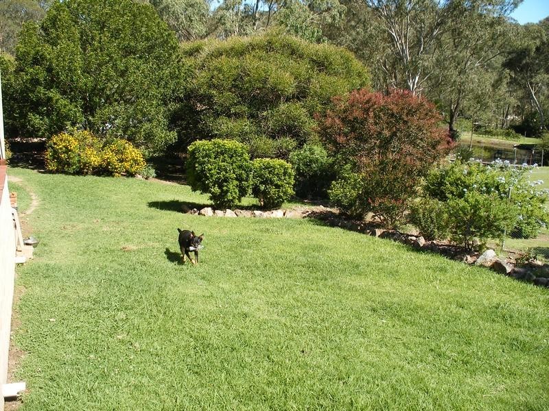 1335 Clarence Town Road, Seaham NSW 2324
