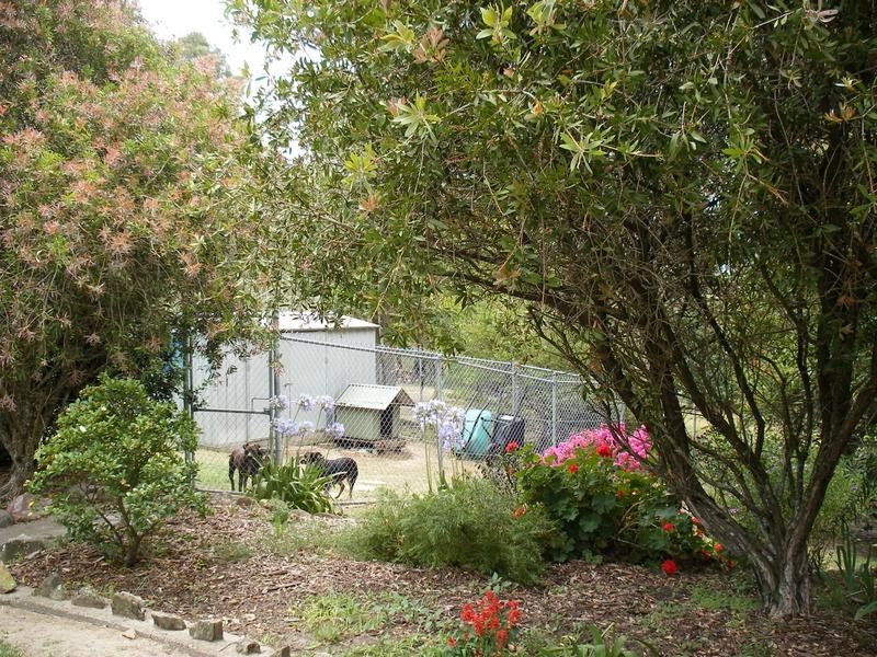 1335 Clarence Town Road, Seaham NSW 2324