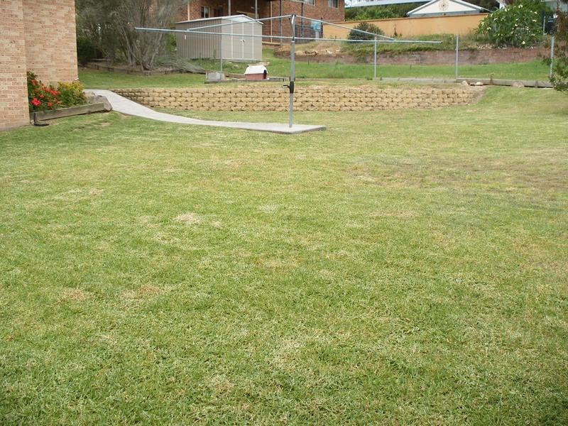 1335 Clarence Town Road, Seaham NSW 2324