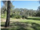 8 North Esk Drive, Seaham NSW 2324