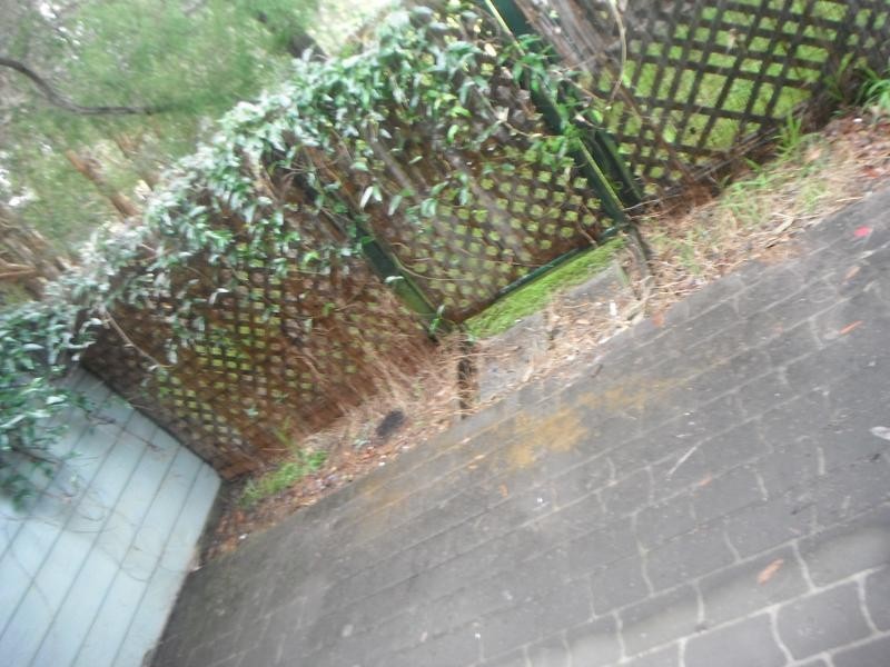 2/4 Mosman Place, Raymond Terrace NSW 2324