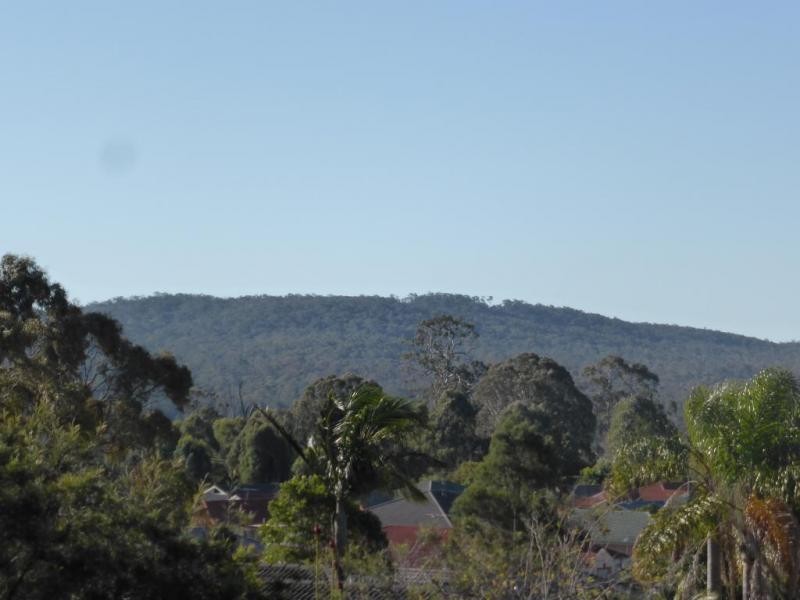 122 Dawson Road, Raymond Terrace NSW 2324