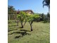 139 Benjamin Lee Drive, Raymond Terrace NSW 2324