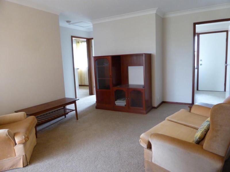 36 Silverwattle Drive, Medowie NSW 2318