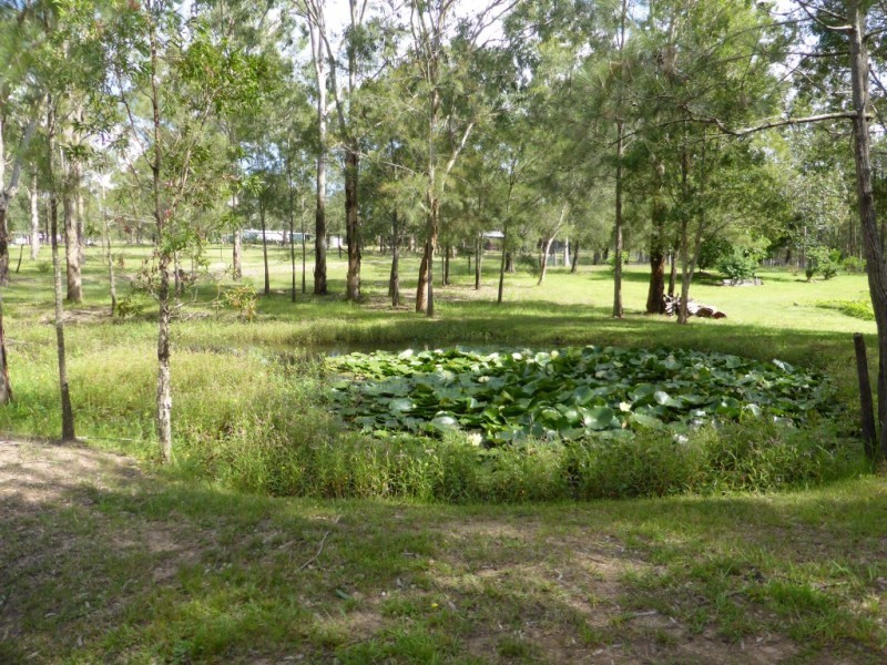 610 Limeburners Creek Road, Clarence Town NSW 2321