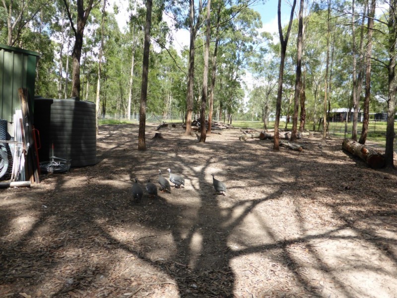 610 Limeburners Creek Road, Clarence Town NSW 2321