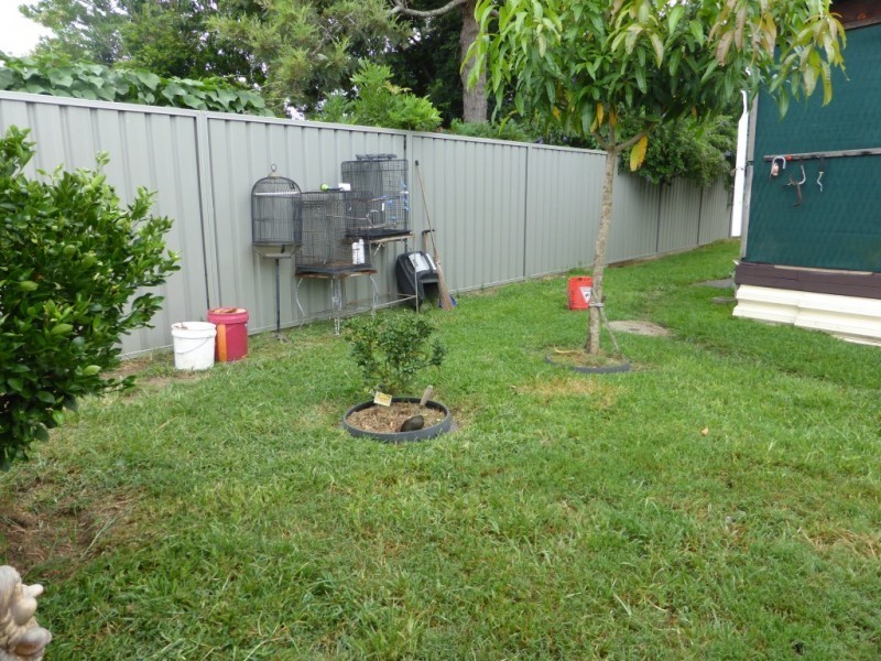 13 Brown Street, Raymond Terrace NSW 2324