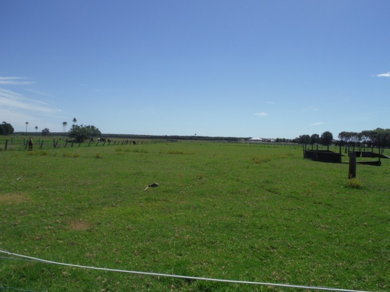 305 Fullerton Cove, Fullerton Cove NSW 2318